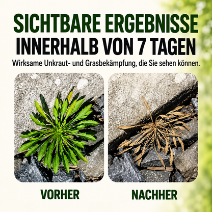 2026 SALE🎁 – Schnell wirkendes natürliches Unkraut- & Grasvernichtungsspray